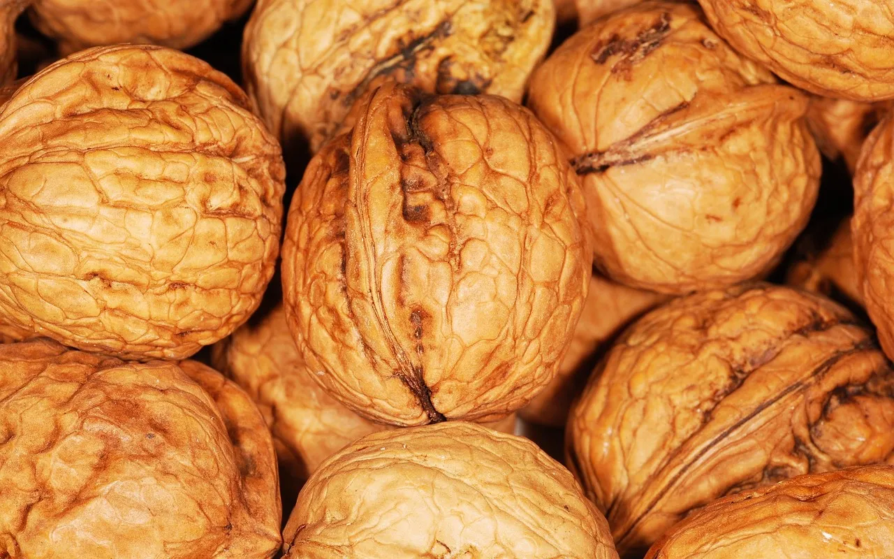 Frutos secos y nueces, fuente de proteína vegetal y grasas saludables