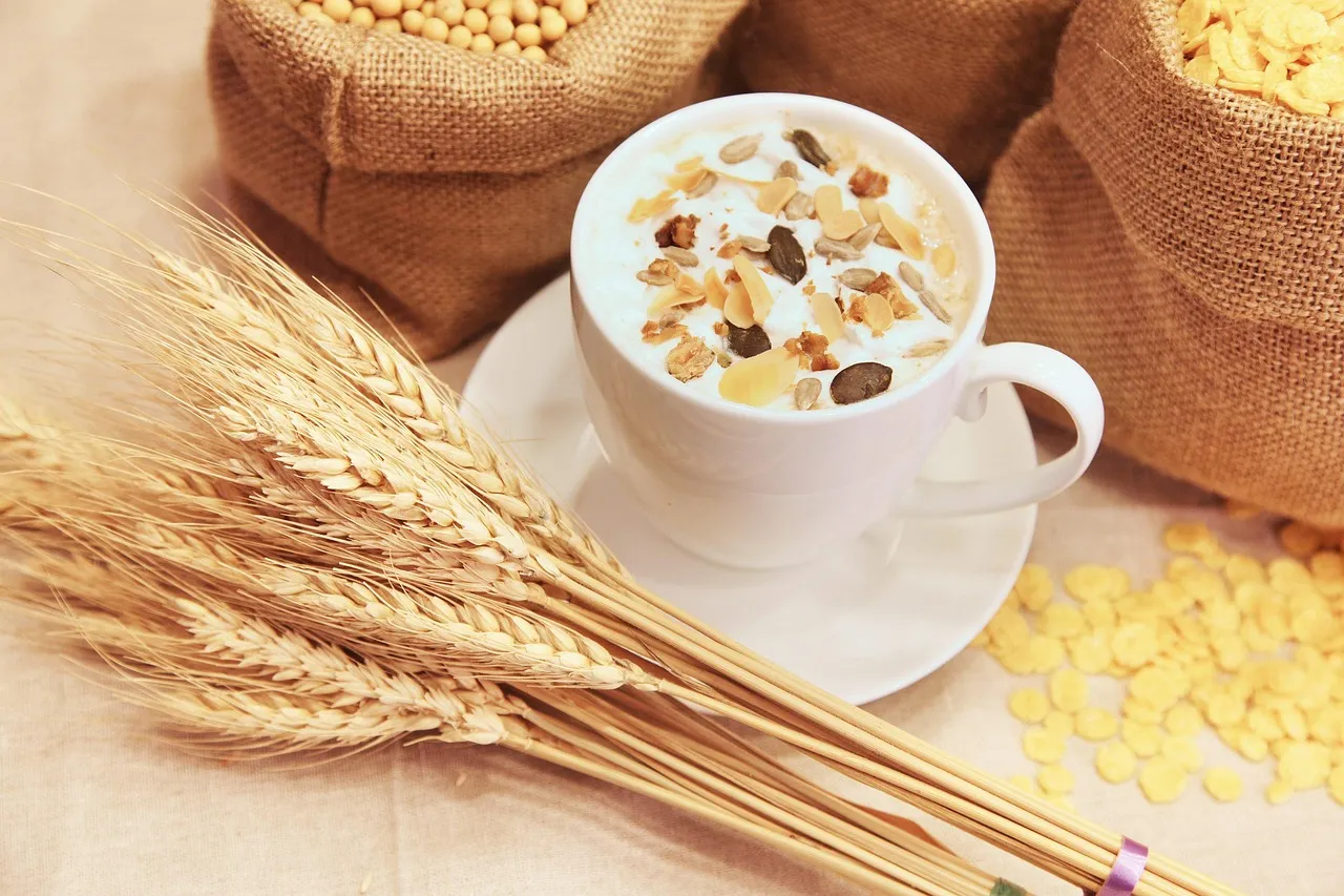 Bol de cereales con leche junto a trigo y avena