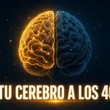 Qué le pasa a tu cerebro después de los 40 (y qué predice mejor que ningún otro factor si lo mantendrás afilado)