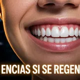 7 secretos para regenerar las encías que tu dentista no siempre tiene tiempo de contarte
