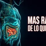 Por qué tu intestino envejece más rápido de lo que crees