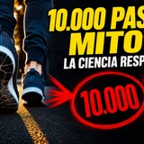 El mito de los 10.000 pasos al día: de dónde salió y qué dice realmente la ciencia
