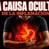 La causa oculta de la inflamación crónica que nadie te ha explicado así