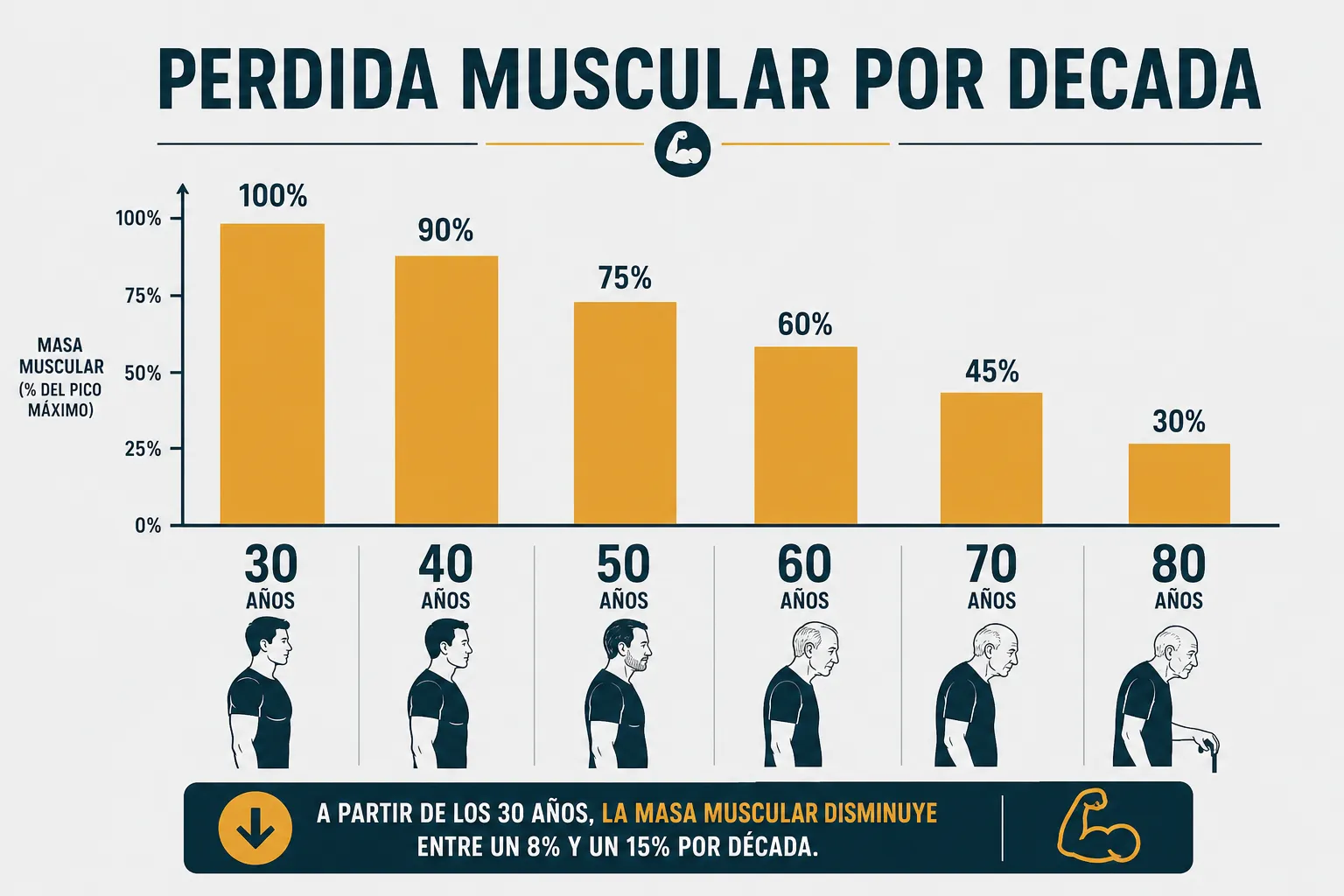 Línea temporal de la pérdida de masa muscular por década